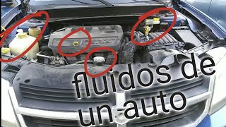 como revisar todos los líquidos o fluidos de un auto [upl. by Larsen]