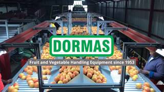 Dormas  Citrus handling equipment with 5 lane Aweta Rollerstar  Masalal Citrus  Grapefruit 2019 [upl. by Tallbot589]