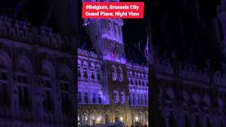 Belgium Brussels City Grand Place Night View  Aswin Travellers [upl. by Virgy776]