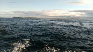 Sailing through the infamous Pentland Firth [upl. by Eimmis872]