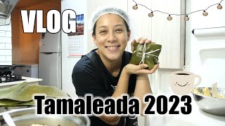 VLOG  tamales 2023  Fuimos de compras  pequeño haul [upl. by Anirahs701]