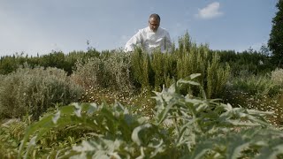 Taste Travel  Tuscany  Castello di Casole A Belmond Hotel [upl. by Yks104]