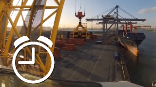 Port Timelapse Compilation Gantry and Mobile Harbour Cranes Port of Antwerp container GoPro [upl. by Ttenna]