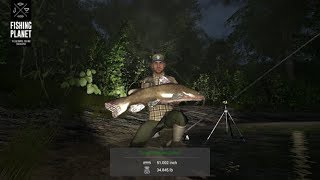 Fishing Planet  Neherrin River  North Carolina  Trophy Flathead Catfish [upl. by Ahsinoj]