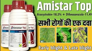 Amistar top syngenta  Amistar top  Amistar top fungicide [upl. by Boar]