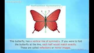 Lines of Symmetry Explained Math for Kids [upl. by Nylhtac]