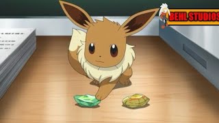 POKEMON MASTER JOURNEYS Chloes eevee cant evolve by evolution stonesENGLISH DUBBED [upl. by Rani]