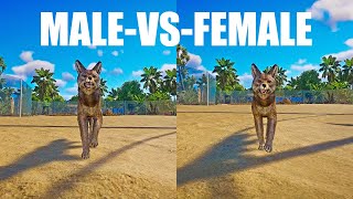 Coyote A Male vs Female Speed Race in Planet Zoo [upl. by Roger272]