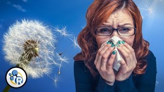 Why Do We Get Allergies [upl. by Aneert]