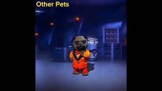 Other pets vs Waggor pet 😂🤣 ytshorts [upl. by Ahsit582]