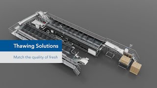 Thawing Solutions For Seafood [upl. by Aserehtairam]