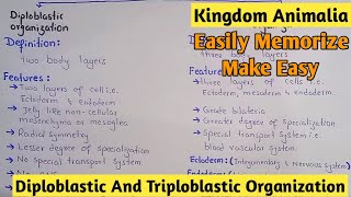 Diploblastic And Triploblastic Organization  Kingdom Animalia  Class 11 [upl. by Zosema]