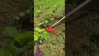 automobile agricultre agriculture agricul farming agri garden agricuture gardening agrilif [upl. by Ai835]