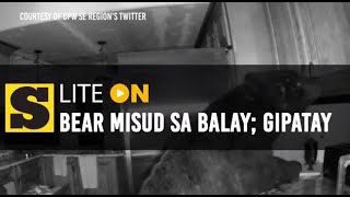 Bear misud sa balay gipatay [upl. by Collette]