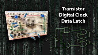 7 NPN Transistor DLatch Best on YouTube [upl. by Burr500]