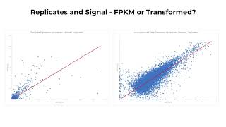 Transcriptomics 1  Quantile Normalization and Principal Component Analysis [upl. by Nosae]