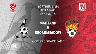 2019 NPL Northern NSW 1st Grade  Round 16  Maitland Magpies v Broadmeadow Magic [upl. by Chev]