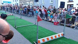 Pig Races at Hillfest in Watergrasshill [upl. by Aihtniroc]