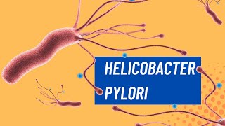 ¿Qué es el Helicobacter pylori [upl. by Merdith]