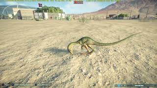 Jurassic World Evolution 2 coelophysis vs compsognathus  dinosaurs battle  18 [upl. by Light]