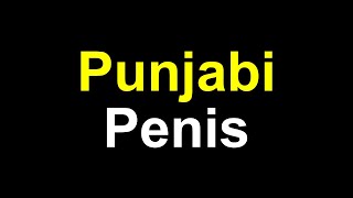 How to Pronounce Punjabi Penis [upl. by Aelat]