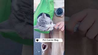 Pet carrier bag cat petkit petpet [upl. by Lorilee457]