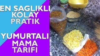 Kolay Yumurtalı Mama Nasıl Yapılır  Cennet Papağanı [upl. by Anaic]