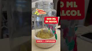 Oggi prepariamo la base per il limoncello o la crema di limoncello 🍋 [upl. by Rina]