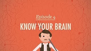 Meet Your Master  Getting to Know Your Brain Crash Course Psychology 4 [upl. by Ainattirb]