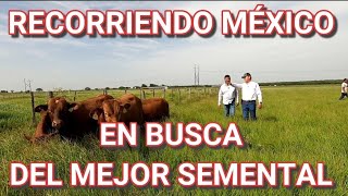 ¡¡VISITAMOS GRUPO BEEFMASTER SUPREMO [upl. by Delphinia]