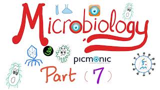 Microbiology Gram   Hemophilus Bordetella Pasturella Brucella Francisella Picmonic Part 7 [upl. by Inglis]