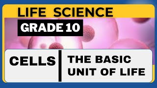 Life Science Grade 10  The Cell Structure [upl. by Raffo671]