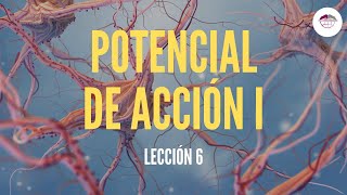 6 POTENCIAL DE ACCIÓN I FISIOLOGÍA DEL SISTEMA NERVIOSO [upl. by Benjy]