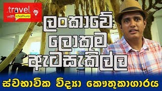 Travel With Chatura  Colombo National Museum Full Episode [upl. by Nai]