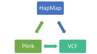 Convert SNP data from one format to another in few clicks Part 1 HapMap  VCF  Plink [upl. by Gruver]