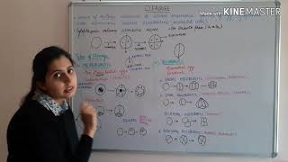 Cleavage and Types of Egg  CSIR NET  GATE  MSc  BSc  Life Science [upl. by Raouf]