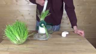 Manual Wheatgrass Juicers Compared Product Demonstration [upl. by Nylirahs]