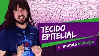 🧫 Histologia 13 Tecido Epitelial  Biologia  ENEM [upl. by Eremahs]