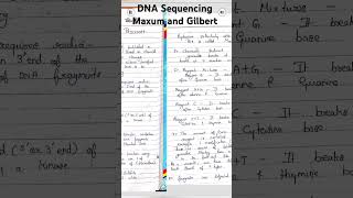 DNA sequencing Maxum and Gilbert chemical method of DNA sequencing easy handwritten notesmltpg [upl. by Sueaddaht]