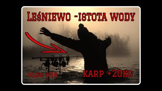 Karpiowanie  ISTOTA WODY karp 20kg  vlog 28 [upl. by Chrissy]