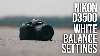 Understanding White Balance on Your Nikon D3500 [upl. by Alleda]