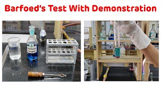 Barofoeds Test With Demonstration  Barfoeds Test For Carbohydrates [upl. by Odel]