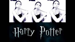 Harry Potter  Hedwigs Theme  Flute Cover Yasmin [upl. by Assenyl]