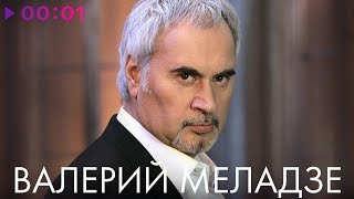 ВАЛЕРИЙ МЕЛАДЗЕ  TOP 20  Лучшие песни [upl. by Teufert]