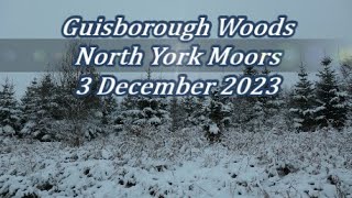 Guisborough Woods North York Moors  3 December 2023 [upl. by Ri]