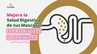 Aprende con Lenda DIFERENCIAS entre PROBIÓTICOS y PREBIÓTICOS [upl. by Knowling]