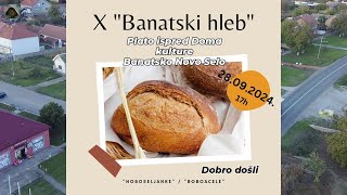 Banatski hleb 2024 Banatsko Novo Selo  Satu Nou 28092024 FHD [upl. by Attennod]