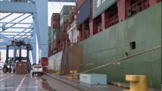 NMSA  Longshore Safety Video 8  Fall from Containers [upl. by Aran]