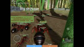 Epic ant war in roblox ant life beta testing [upl. by Abbate]