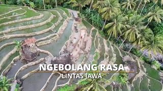 FULL Ngebolang Rasa Lintas Jawa  SI BOLANG 291024 [upl. by Deeann221]